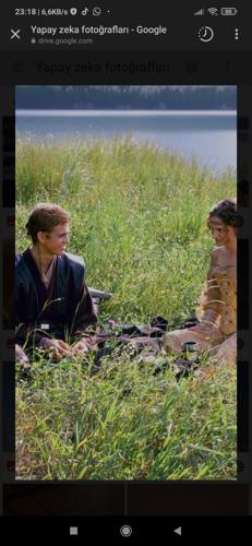 sefauludag63@gmail.com