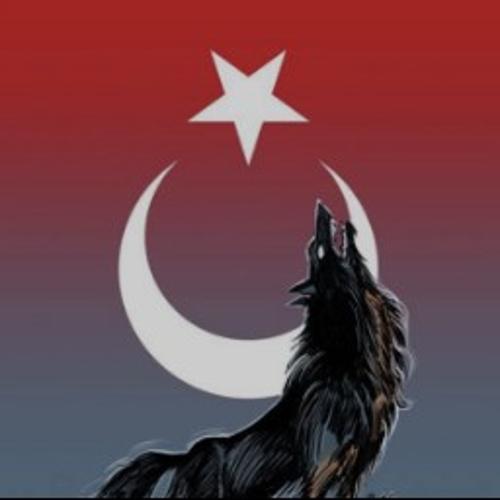 シBOZKURTシ#16121081283423745489