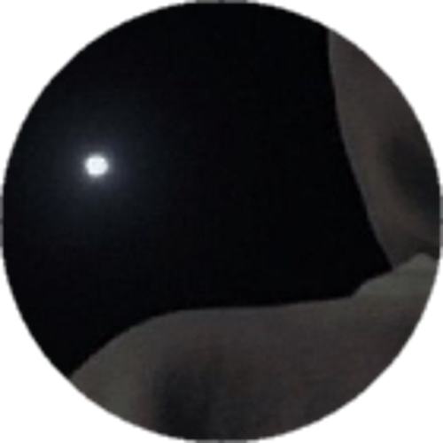 DLxSHELBYī