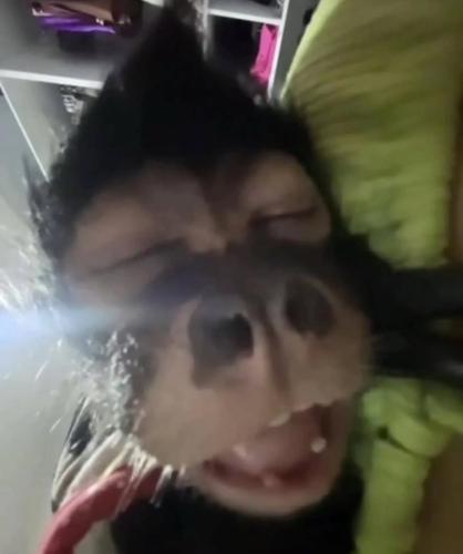 BoluluRecepUsta#Amrth