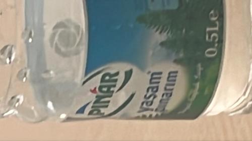 temirkacan24@gmail.com