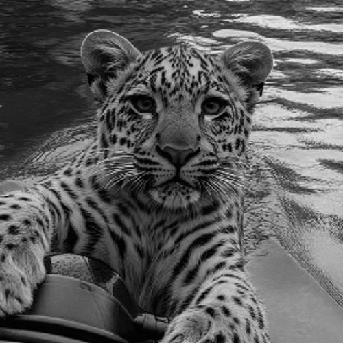 tok.ahmet0320@gmail.com