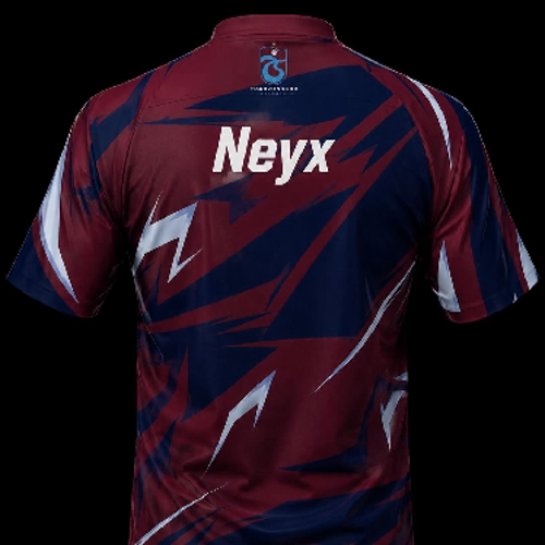 TS・Neyx³¹