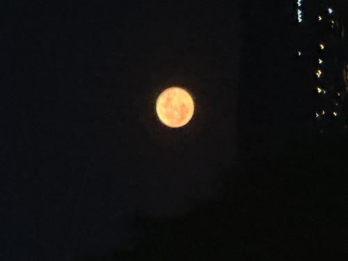 umitkayrayilmaz493@gmail.com