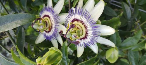 umutsoner84@gmail.com