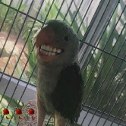 user5124977295217225