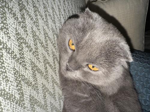 Google#640184715#4205