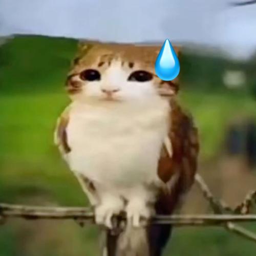 yasinates2149@gmail.com