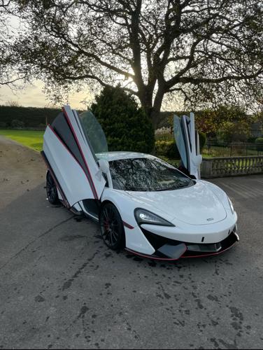 ybulut4445@gmail.com