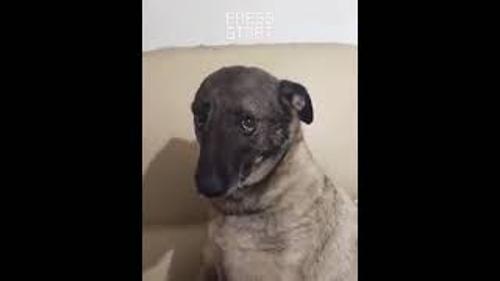 GRB garibanyusuf#yusuf