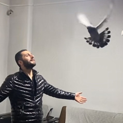 yigitturkunal0333@gmail.com