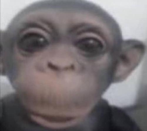 ysnysndd37@gmail.com