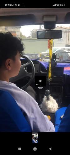 yusufahmet4125@gmail.com