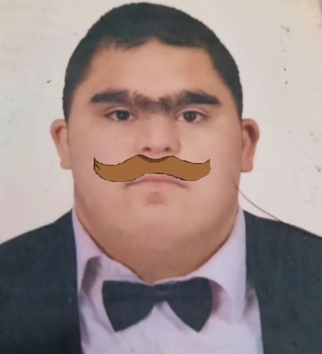 yuzbasirogers9@gmail.com