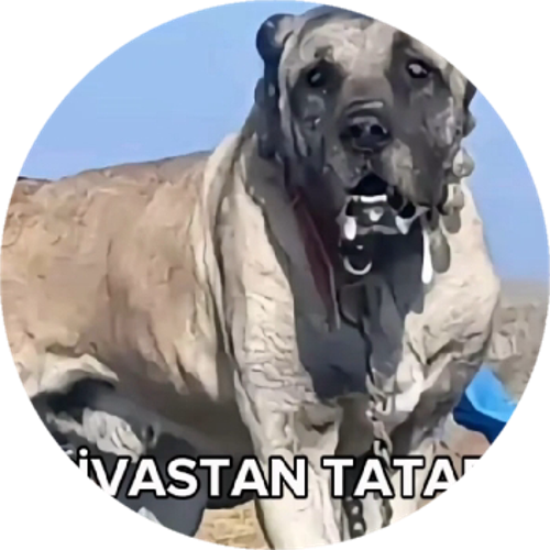 AİM×ABİÇO