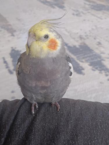 ℞eᴹαıη#ㅤㅤ⠀⠀⠀#ㅤㅤ⠀⠀⠀