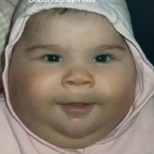 乇乂乇・FATİH