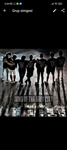 Sons Of The Grey Ctiy