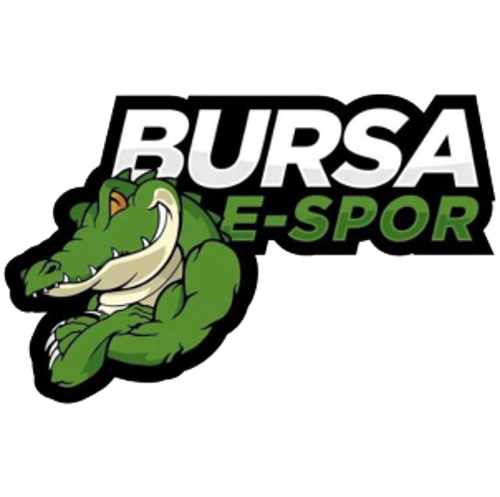 Bursa E-Spor