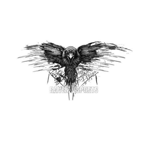 RAVEN E-SPORT