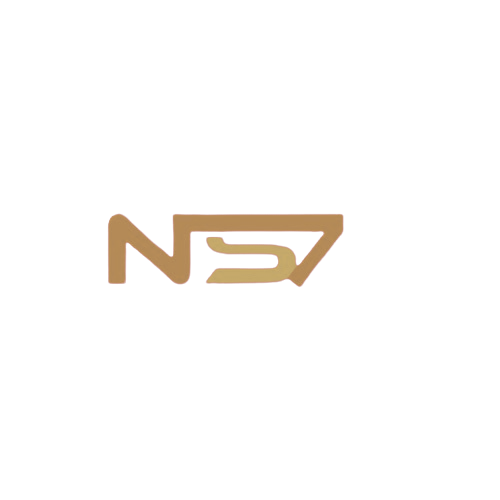 NS7 Esports