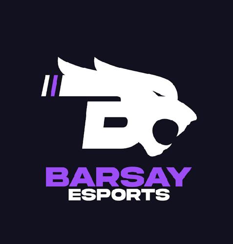 Barsay Esports
