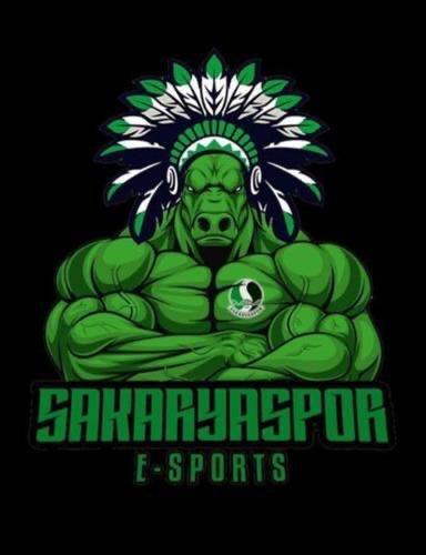 Sakarya esports