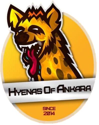 Hyneas of ankara