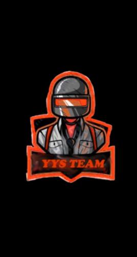 YYSTEAM