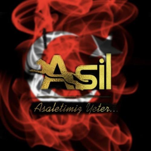 Asil E-sports