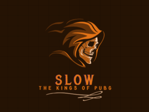 Slow Esports