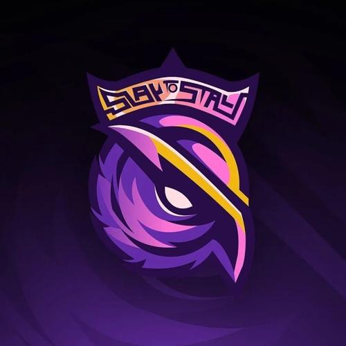 S2GTEAM