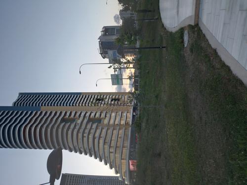 Topselvi
