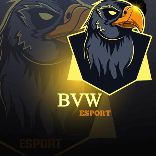BVW E-SPORTS