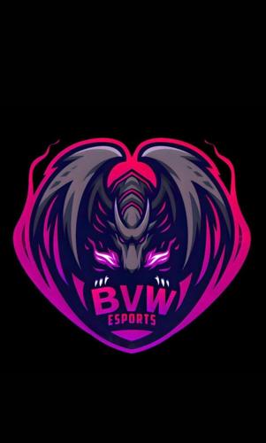 BVW E-SPORTS