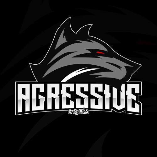 TEAM AGRESSIVE