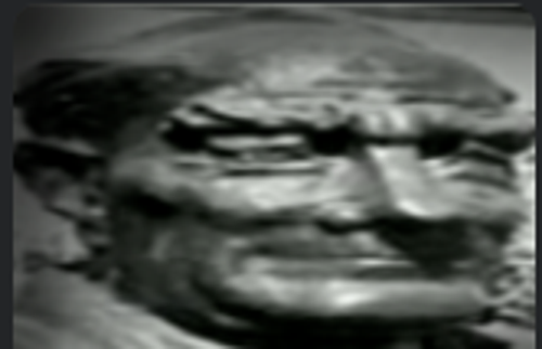 sevgipıtırcıkları_2