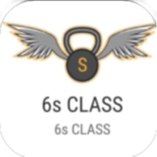 6s CLASS TEAM