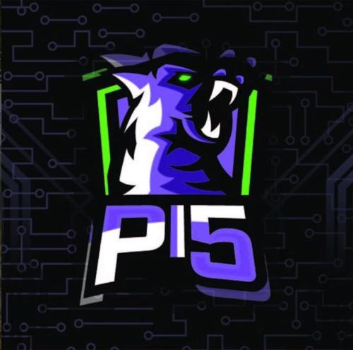 Pi5Esports