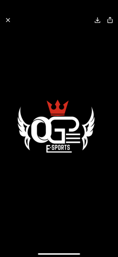 OGP ESPORTS