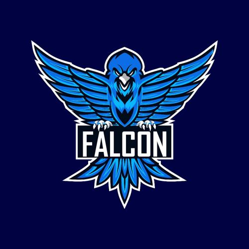 Falcon Esports