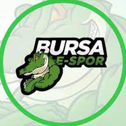 Bursa eSpor