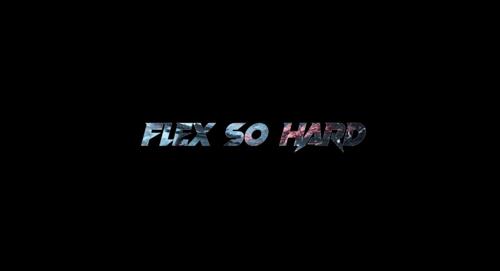 FlexSoHards