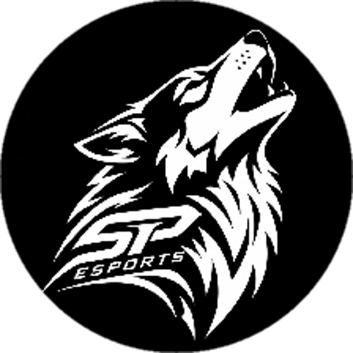 SP E-Spor