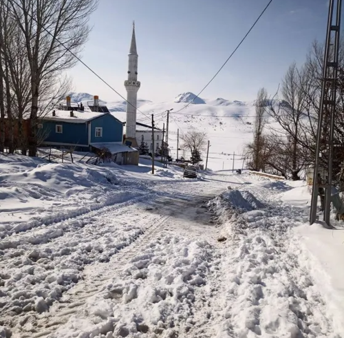 gugunus in the house