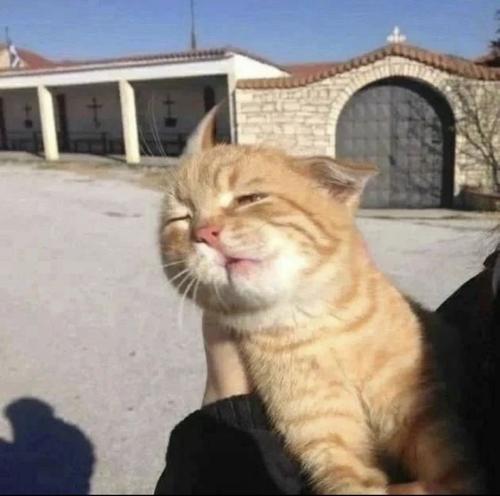 Süper Ciddi İnsanlar Kulübü