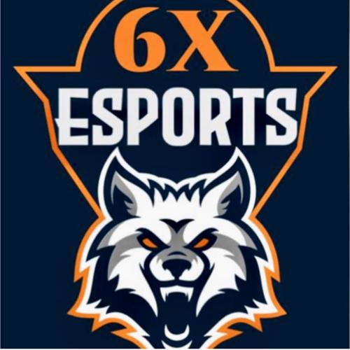 6x Esports