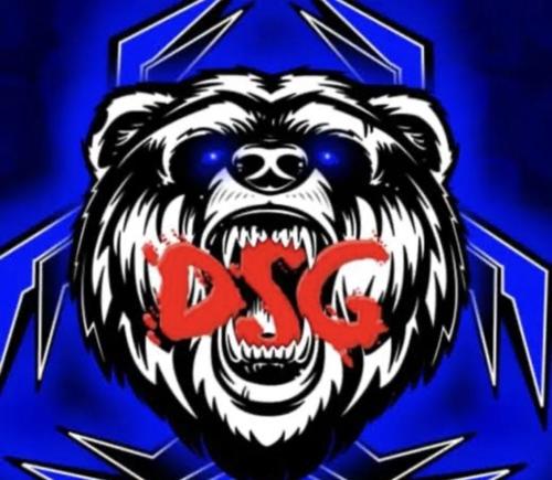 DSG ESPORTS