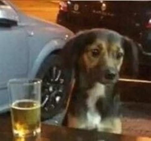 Allahsızlar Tam Liste