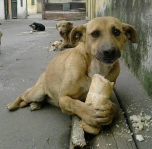 garibanınyüzügülürmü